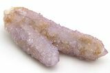 Cactus Quartz (Amethyst) Crystal Cluster - South Africa #237389-1